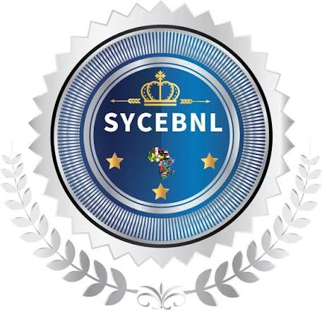 Logo SYCEBNL